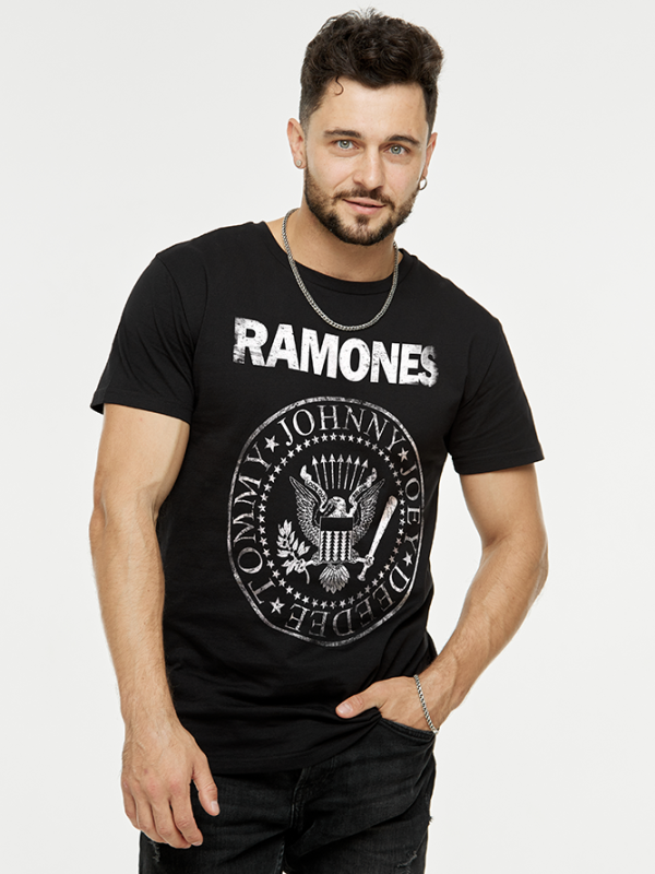 Футболка мужская Рамонес